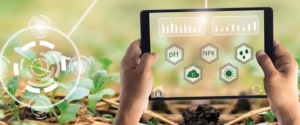 holding a tablet with plants growing in the background