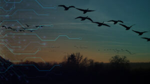 Microsoft MFA SSPR Retirement Make Your Migration a Security Win - Feature Image